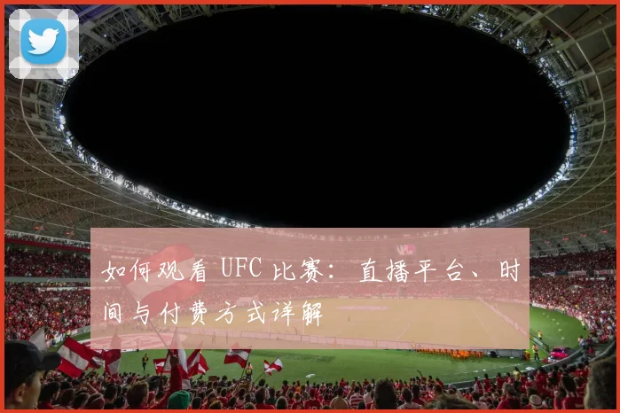 如何观看 UFC 比赛：直播平台、时间与付费方式详解