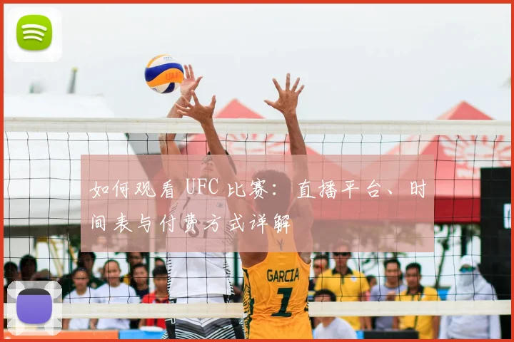 如何观看 UFC 比赛：直播平台、时间表与付费方式详解