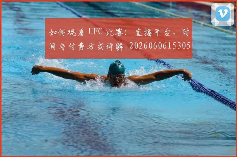 如何观看 UFC 比赛：直播平台、时间与付费方式详解_20260606153055