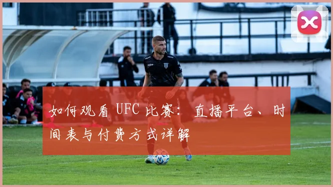 如何观看 UFC 比赛：直播平台、时间表与付费方式详解